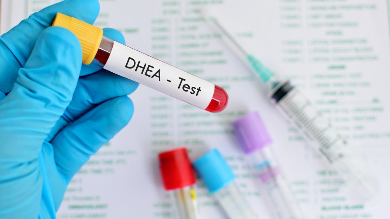DHEA for Women - The Menopause Center DHEA for Women - The Menopause Center