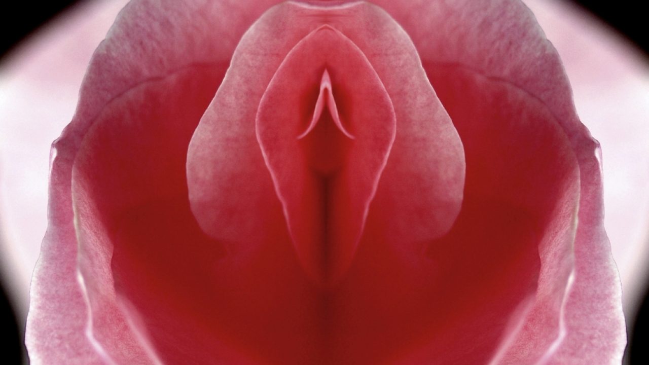 Things You Didn't Know About the Vulva but Should - Center