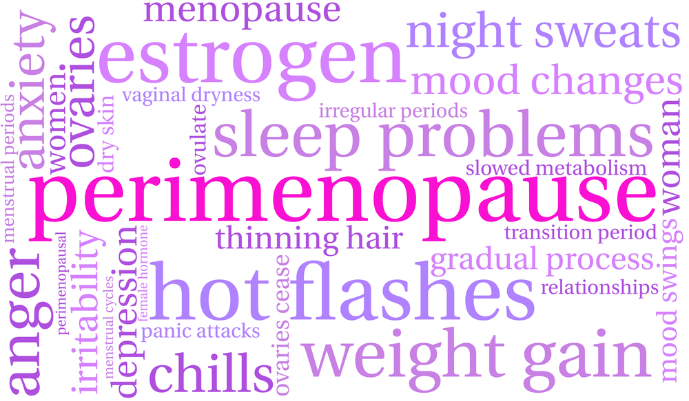 Difference Between Perimenopause and Menopause